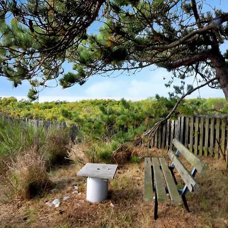 12253-nykobing-sj-aeblehegnet-7 *